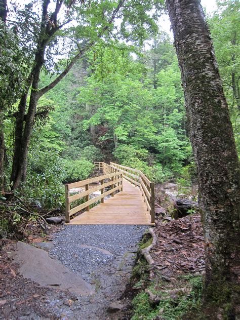 Chimney Tops Trail in Great Smoky Mountains National Park | Smoky mountains hiking, Great smoky ...