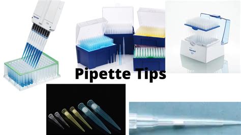 Pipette Tips: Types, Uses, and Criteria to Choose It • Microbe Online