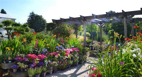 Clifton Nurseries Weybridge Surrey – Garden Centre, Café, Landscaping ...