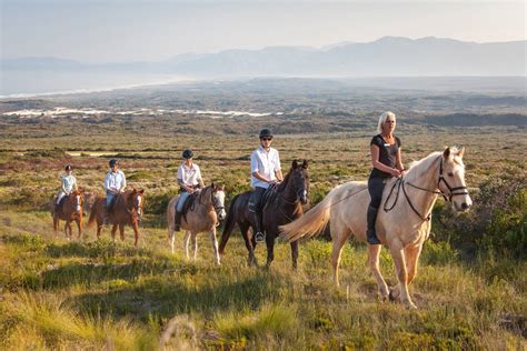 Forest Lodge | Grootbos Private Nature Reserve™