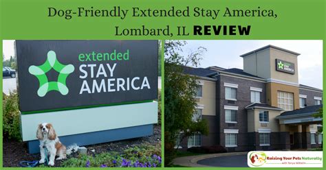 Pet-Friendly Hotels in Chicago Metro | Dog-Friendly Lombard Hotel Extended Stay Review ~ Raising ...