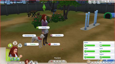 The Sims 4 Cats & Dogs: Pet Training Skill Guide