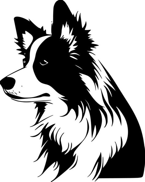 Border Collie - Black and White Isolated Icon - Vector illustration ...