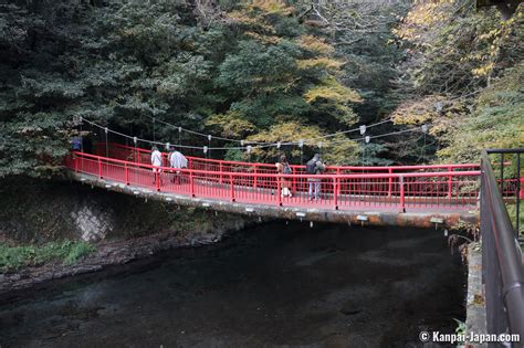 Kikuchi Gorge - Forest Bathing in Kumamoto