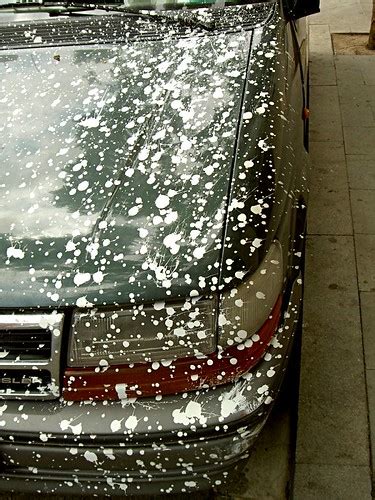 Car paint splash | stvcr | Flickr
