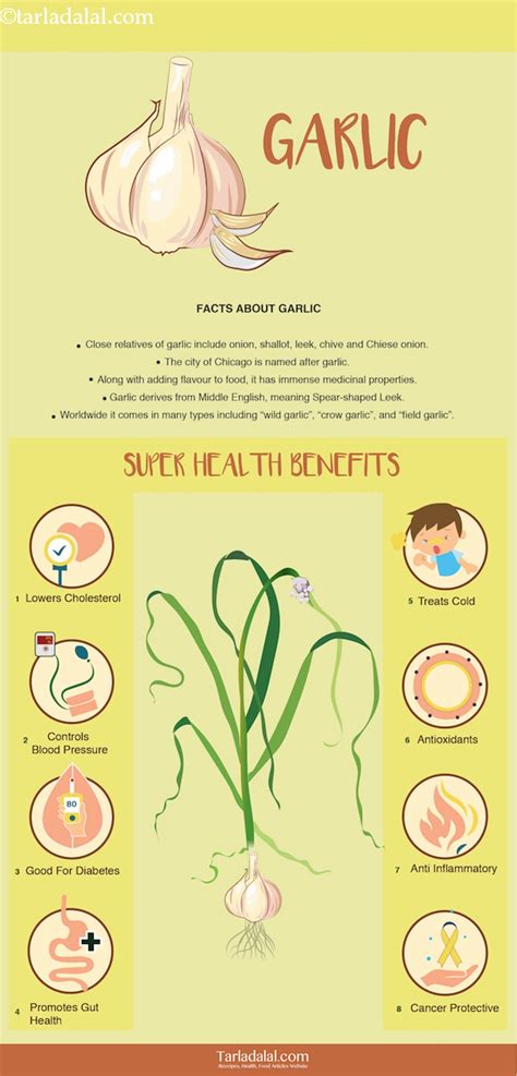 8 Health Benefits of Garlic, Lehsun + 7 Healthy Garlic Recipes ...