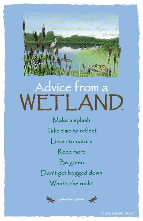 Advice from a Wetland Frameable Art Card – Your True Nature, Inc ...