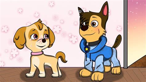 Paw Patrol Cartoon, Paw Patrol Characters, Paw Patrol Pups, Chase Paw Patrol, Furry Art, Rocky ...