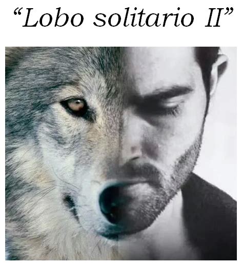 El blog de Marco Peña: Lobo solitario II