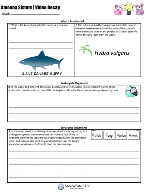 Amoeba Sisters Video Recap Of Mitosis Answer Key Quizlet