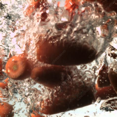 Carrots in bubbling water - Stock Video Clip - K001/1111 - Science Photo Library