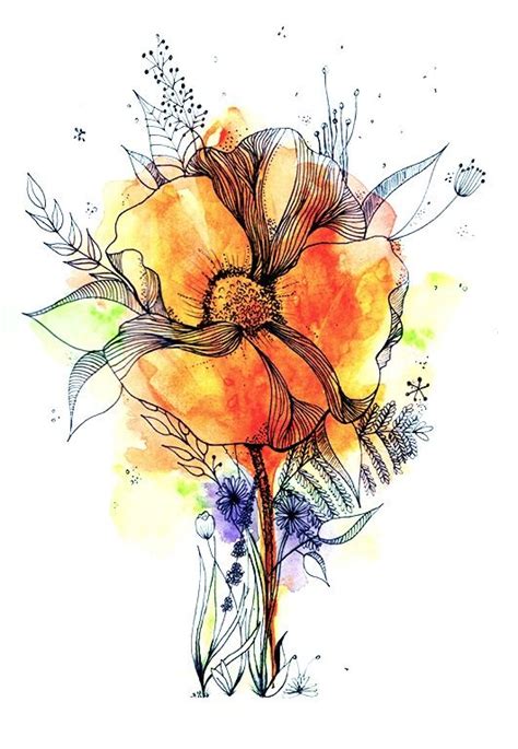 Botanical Line Drawing with water colour by Carla Johnstone | Flower ...