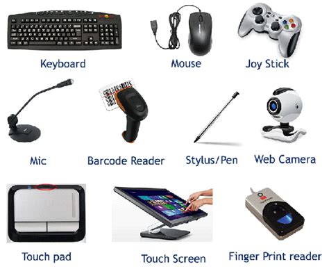 Computer Hardware Input Devices Examples