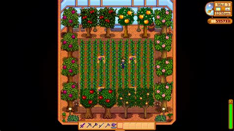 Stardew Greenhouse Fruit Tree Layout