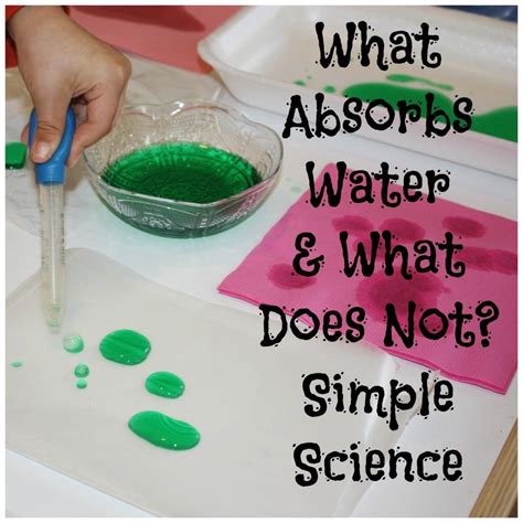 What Absorbs Water: Absorption For Kids | Water science experiments, Easy science, Preschool ...