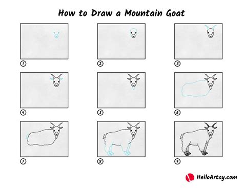 How to Draw a Mountain Goat - HelloArtsy