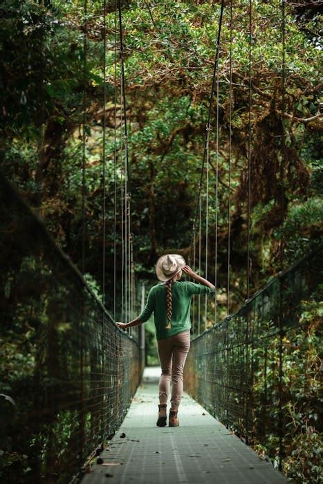 Monteverde Hanging Bridges: Unveil Costa Rica's Treetop Gems