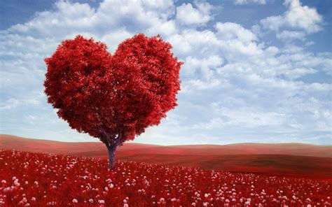 Free Valentine Love Tree computer desktop wallpaper | Valentines wallpaper, Free valentine ...