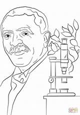 George Washington Carver Coloring Page  Nation sketch template