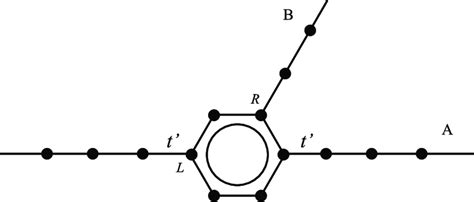 Schematic representation of the conjugate molecules considered for ...