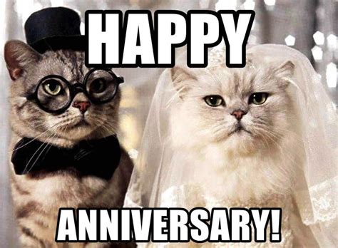 Funny Anniversary Memes For Husband