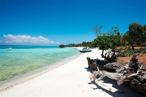 Pemba Island - Diving and snorkeling in a spice-scented paradise