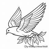 Peace Dove Coloring Pages  Free & Printable sketch template