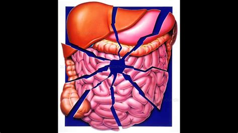 BLUNT TRAUMA ABDOMEN !! Management Algorithm by ATLS - YouTube