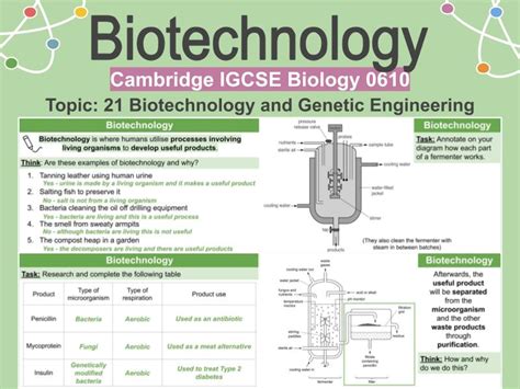 Biotechnology - Examples and fermentation | Teaching Resources