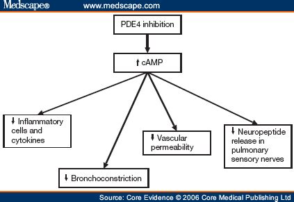 Phosphodiesterase 4 inhibitors