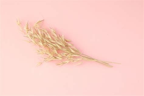 Wheat Allergy - Everything you need to know - Food Allergies Living