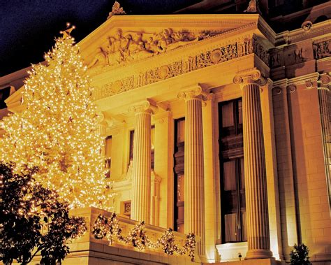 14 Best Christmas Tree Displays In San Francisco For 2023