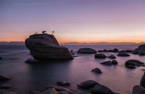 Bonsai Rock – Salmon Creations | Photography