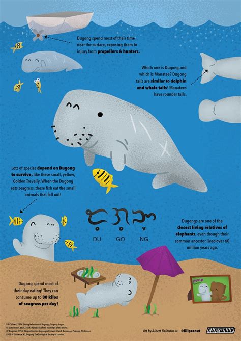 Dugong - Philippine Wildlife Art