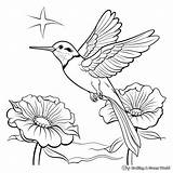Ruby Throated Hummingbird Coloring Pages  Free & Printable sketch template