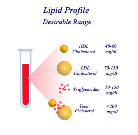 Range of Lipid profile stock illustration. Illustration of range - 153378696