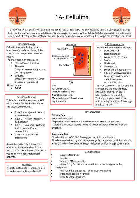 Cellulitis Overview- treatment, investigations, ddx, risk factors, aetiology - 1A- Cellulitis ...