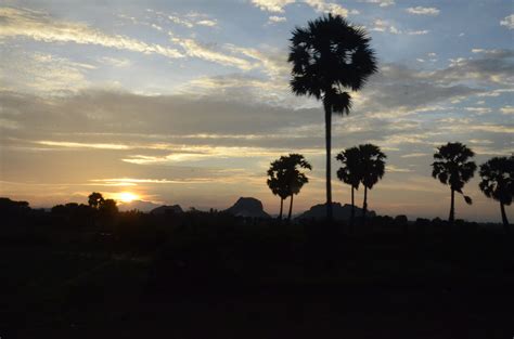 Cambodia Palm Tree, A real view in the evening along the ways when im back from Kep city. | Cambodge