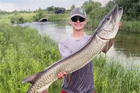 Teen-ager lands monster muskie in channel near Alexandria, Minn.