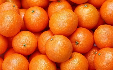 147 Background Orange Fruit Images - MyWeb