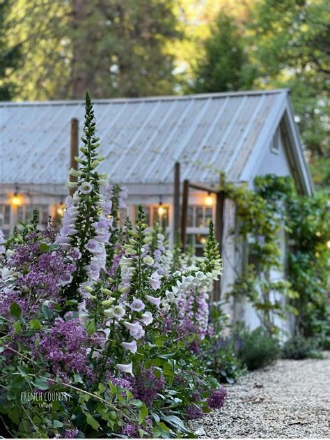 English Cottage Garden Path Planting Details - French Country Cottage