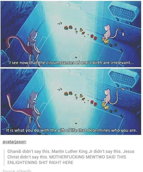 Wise words from Mewtwo. | Pokemon funny, Pokemon memes, Pokemon