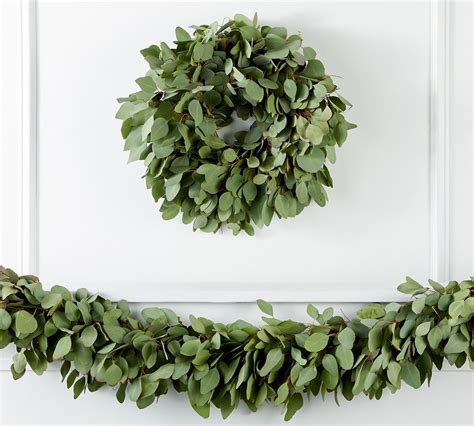 Fresh Silver Dollar Eucalyptus Wreath & Garland | Pottery Barn