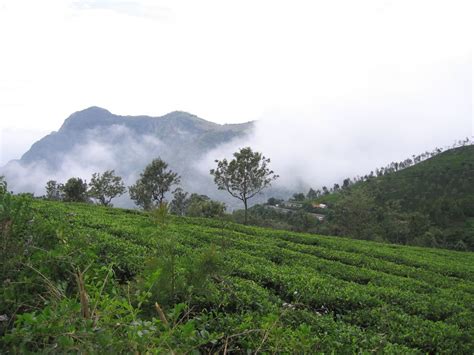 Ooty Hill Station - ooty travel guide