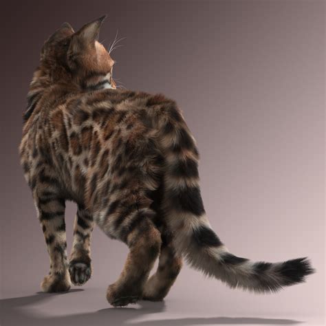 3d bengal cat 2 fur model