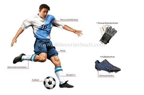 Sport und Spiele :: Ballsportarten :: Fußball :: Fußballspieler Bild - Bildwörterbuch