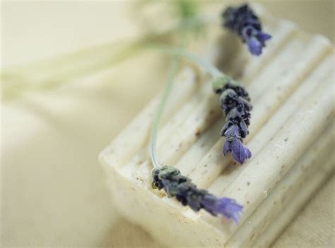 Lavender Dream Soap Recipe