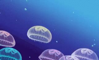 Jelly Fish GIF - Jelly Fish - Discover & Share GIFs