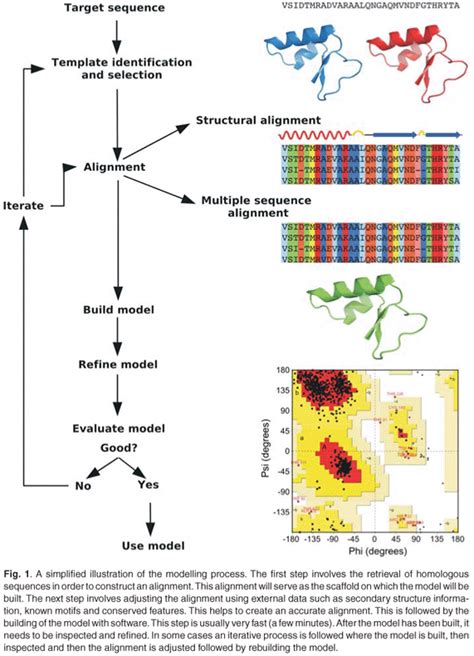 Protein homology modelling and its use in South Africa