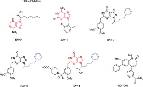 Some currently known PDE2 inhibitors consisting BAY-series. | Download ...